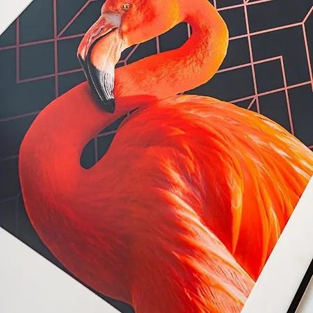 Comfy - Walowa Old Town 아파트 *