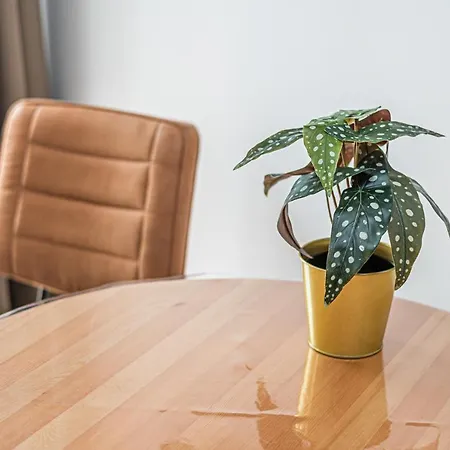 Comfy - Walowa Old Town *